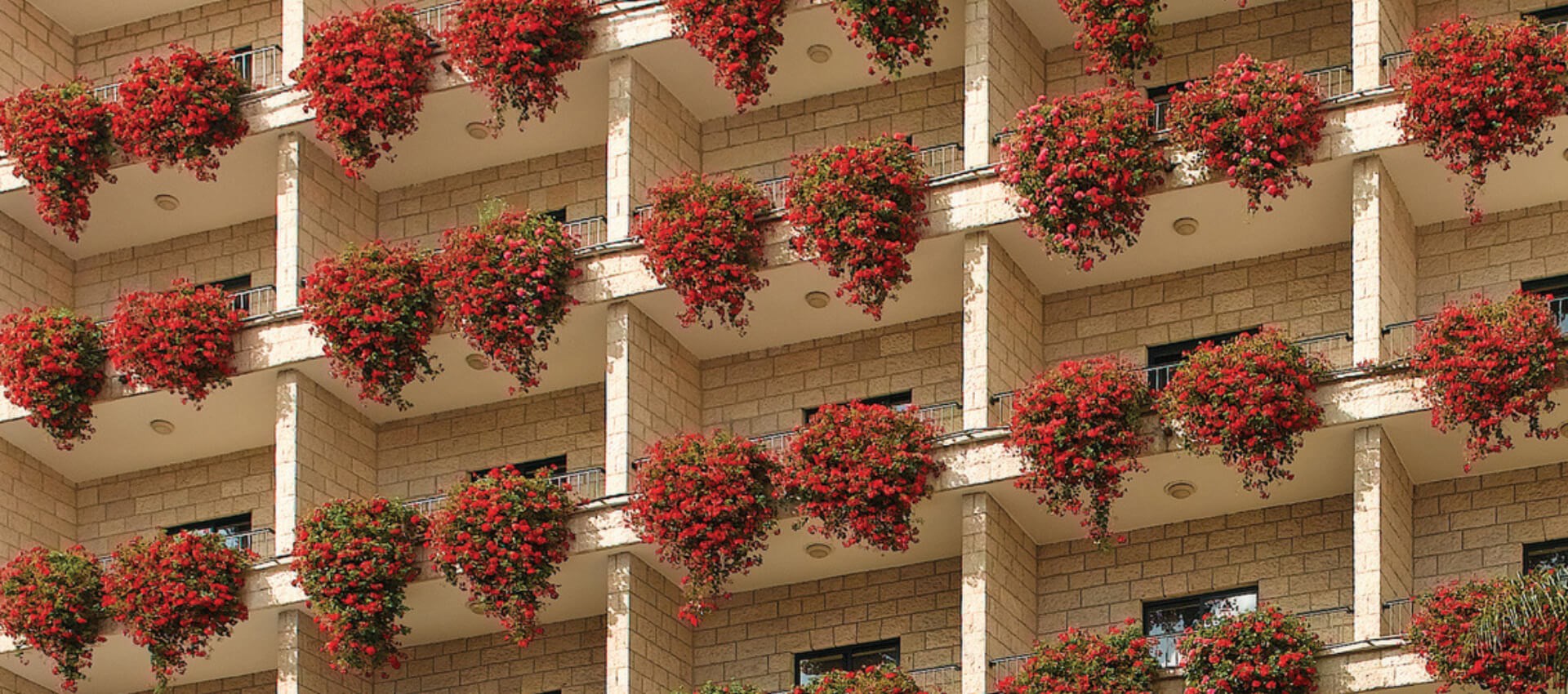 Prima Kings Hotel