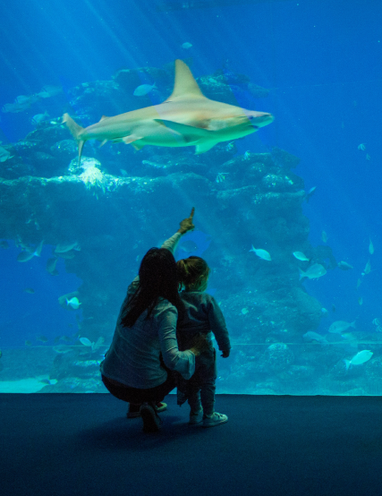 eilat